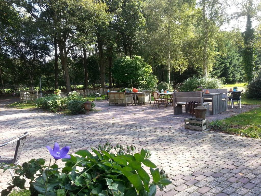 Het Bonte Paard Bed and Breakfast Dwingeloo Exteriör bild