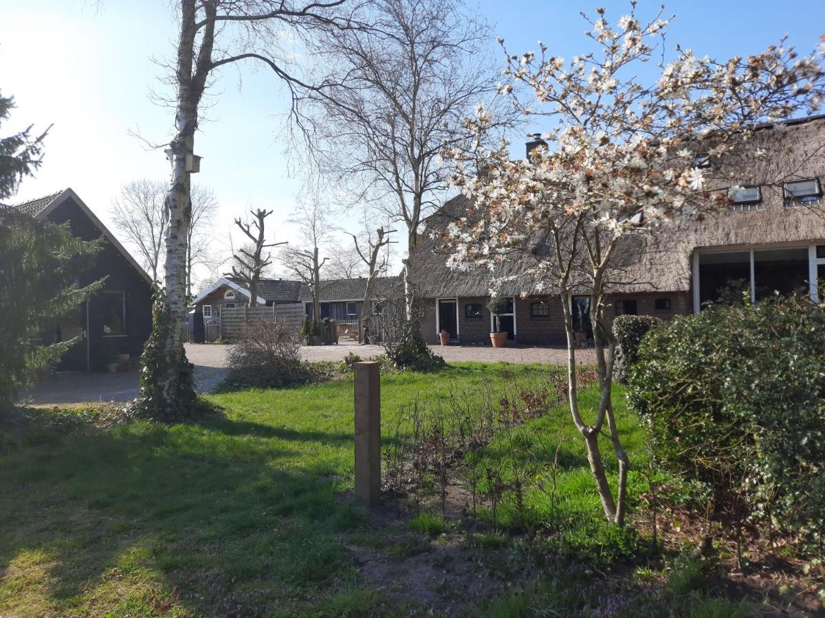Het Bonte Paard Bed and Breakfast Dwingeloo Exteriör bild