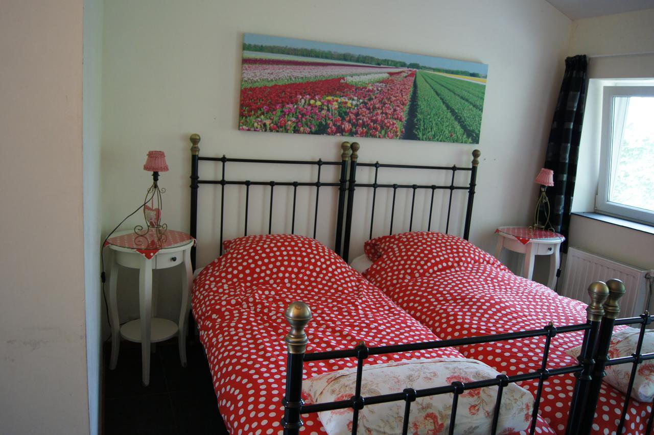 Het Bonte Paard Bed and Breakfast Dwingeloo Exteriör bild