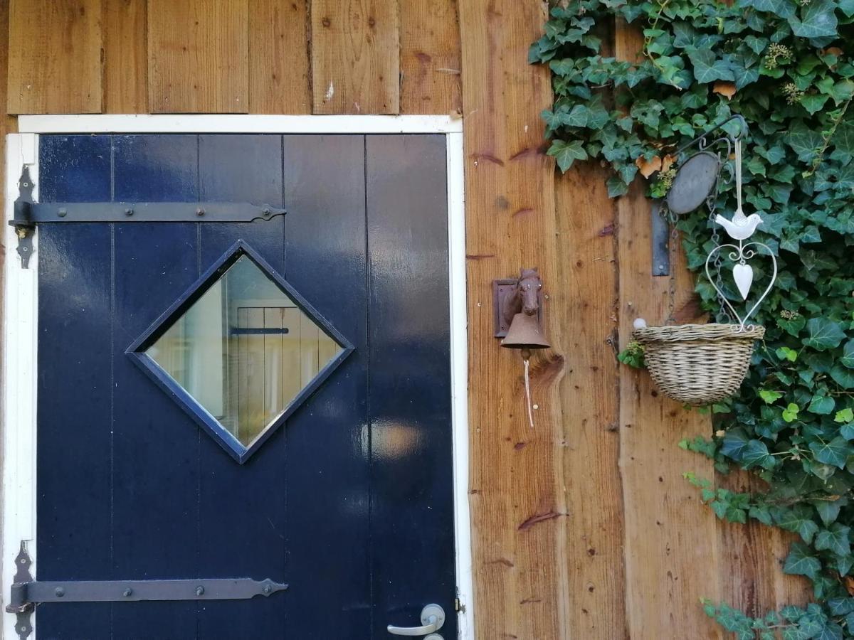 Het Bonte Paard Bed and Breakfast Dwingeloo Exteriör bild